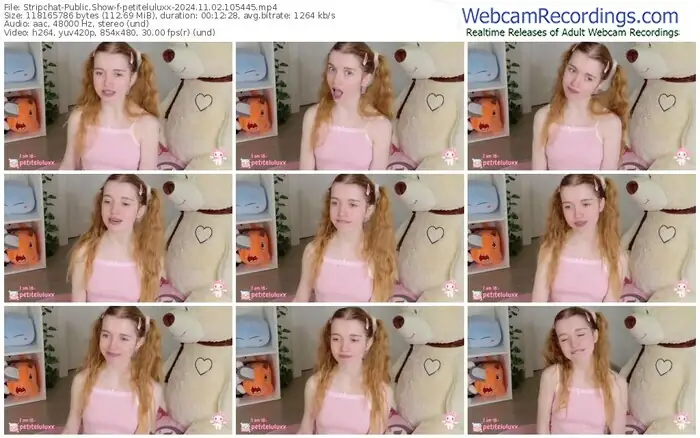 2024/11/02/stripchat-petiteluluxx-10-54-45