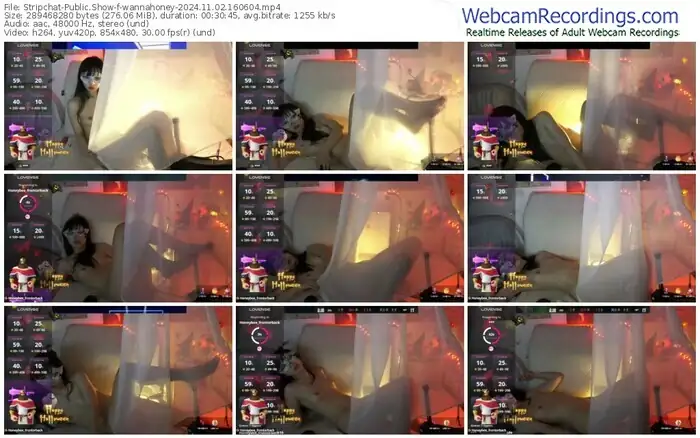 2024/11/02/stripchat-wannahoney-16-06-04