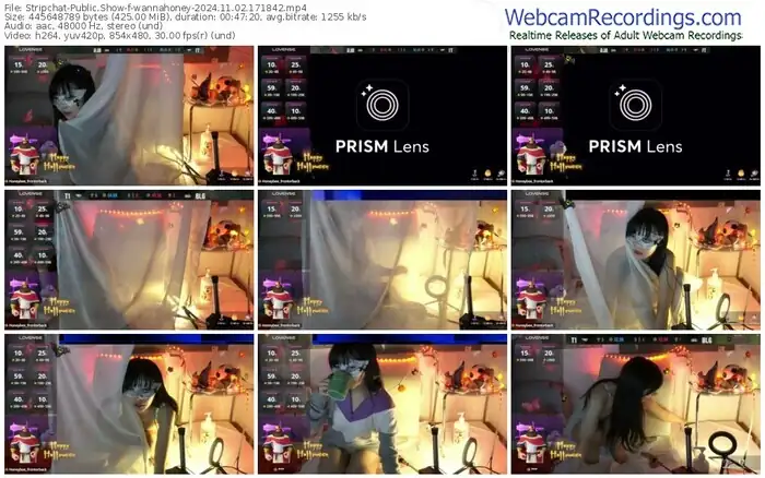 2024/11/02/stripchat-wannahoney-17-18-42