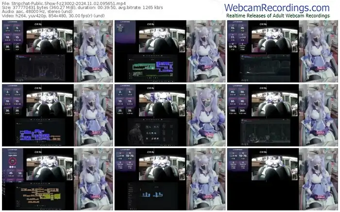 2024/11/02/stripchat-z23002-09-56-51