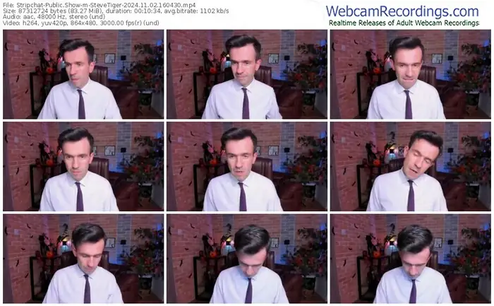 2024/11/02/stripchat-stevetiger-16-04-30