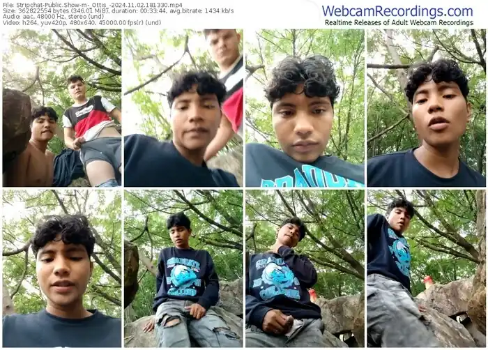 2024/11/02/stripchat-_ottis_-18-13-30