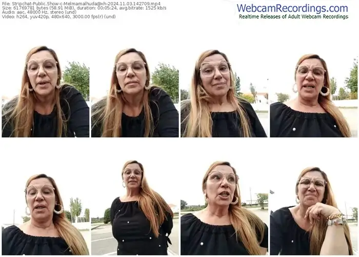 2024/11/03/stripchat-melmamalhuda@xh-14-27-09