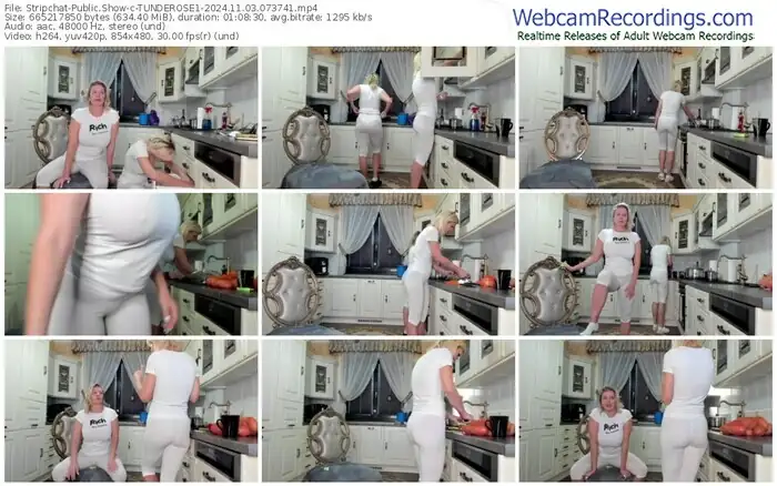 2024/11/03/stripchat-tunderose1-07-37-41