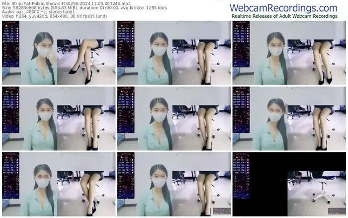 2024/11/03/stripchat-tt50256-00-32-45