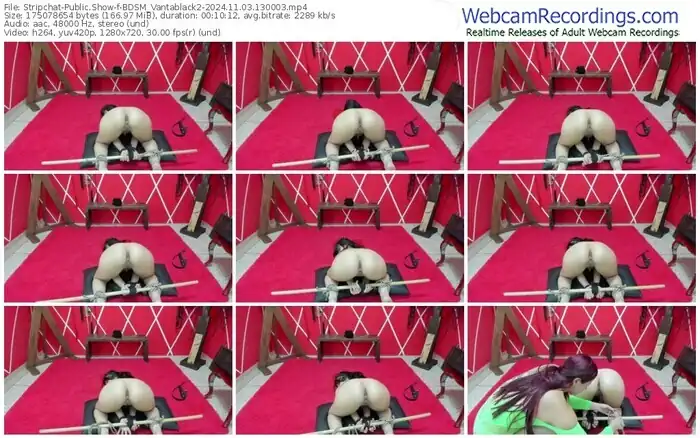 2024/11/03/stripchat-bdsm_vantablack2-13-00-03