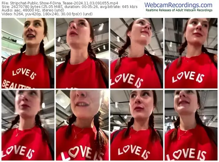 2024/11/03/stripchat-dina_tease-09-16-55