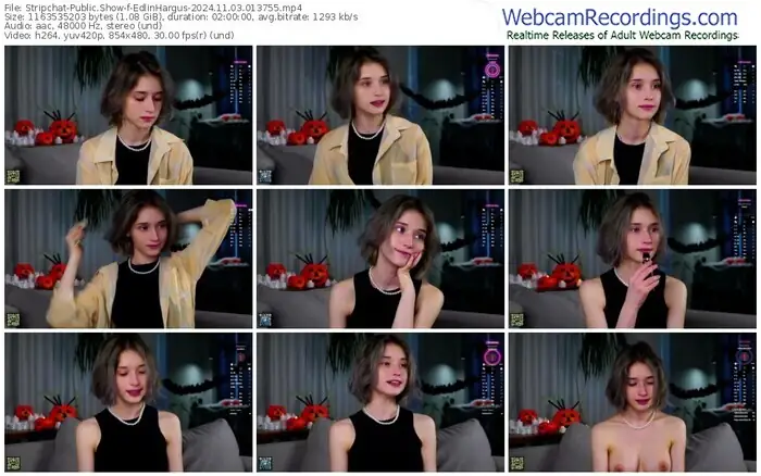 2024/11/03/stripchat-edlinhargus-01-37-55