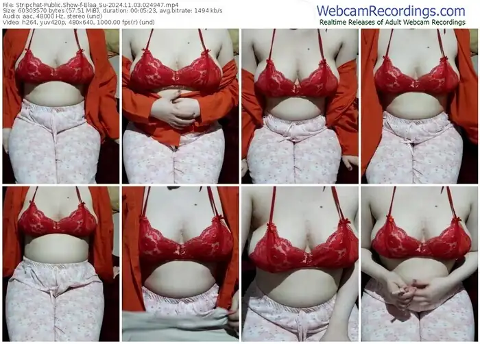 2024/11/03/stripchat-elaa_su-02-49-47