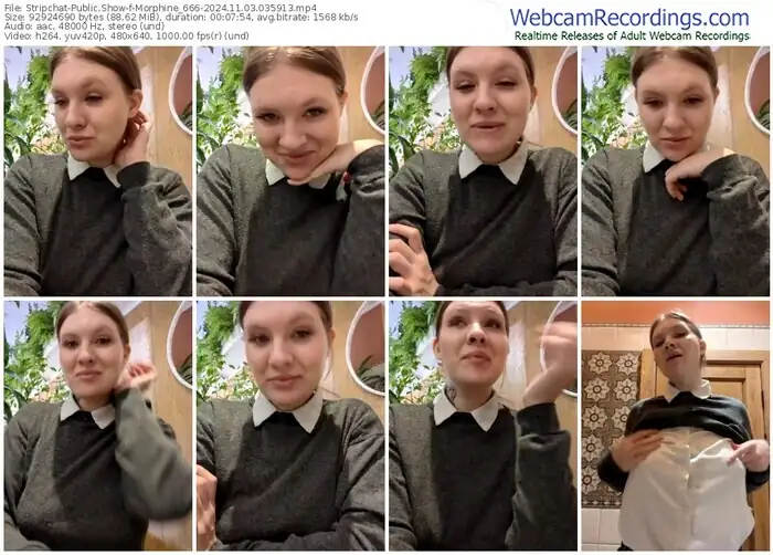 2024/11/03/stripchat-morphine_666-03-59-13