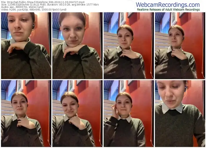 2024/11/03/stripchat-morphine_666-06-47-27