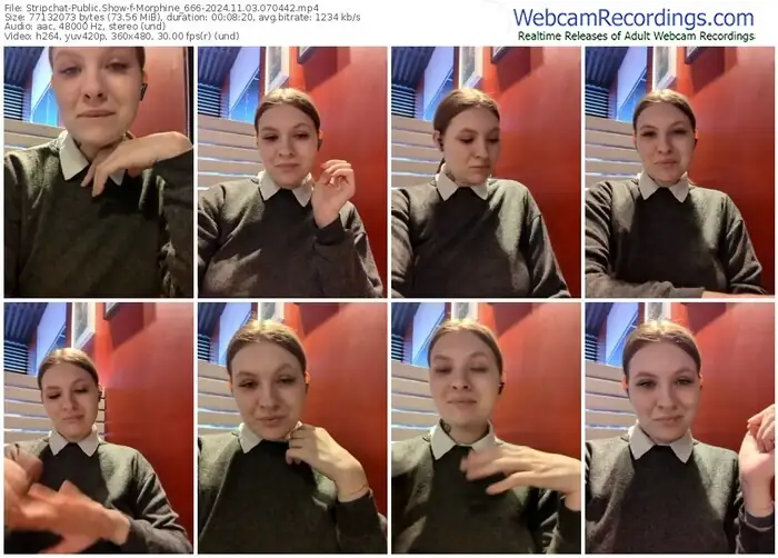 2024/11/03/stripchat-morphine_666-07-04-42