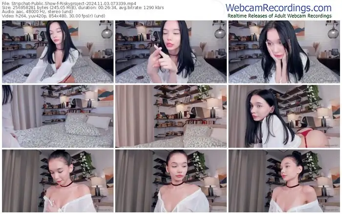 2024/11/03/stripchat-riskyproject-07-33-39