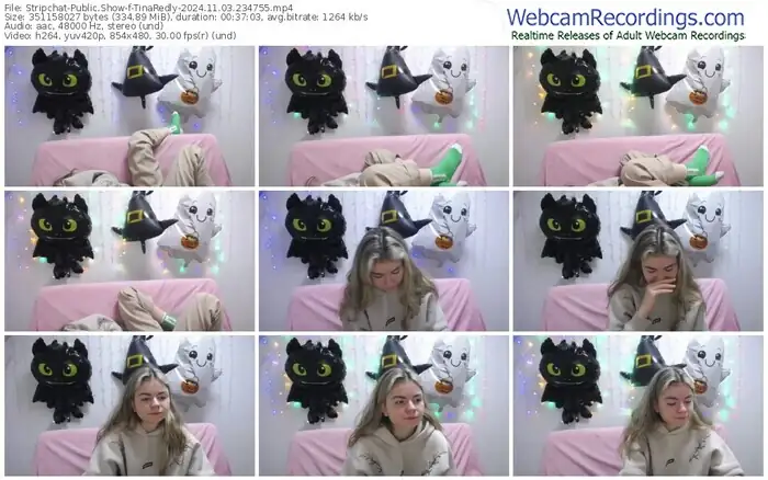 2024/11/03/stripchat-tinaredly-23-47-55