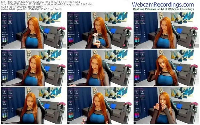 2024/11/03/stripchat-vasilisahaas-01-33-27