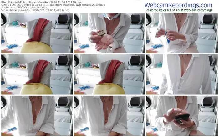 2024/11/03/stripchat-venered-10-11-29