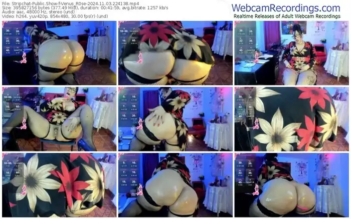 2024/11/03/stripchat-venus_r0se-22-41-38