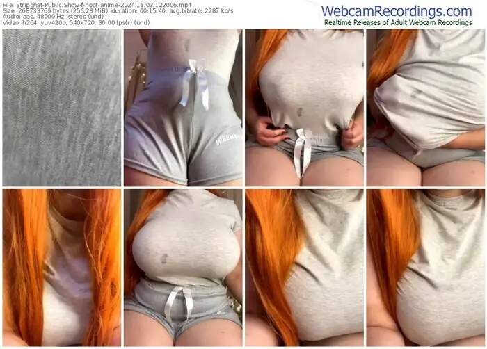 2024/11/03/stripchat-hoot-anime-12-20-06