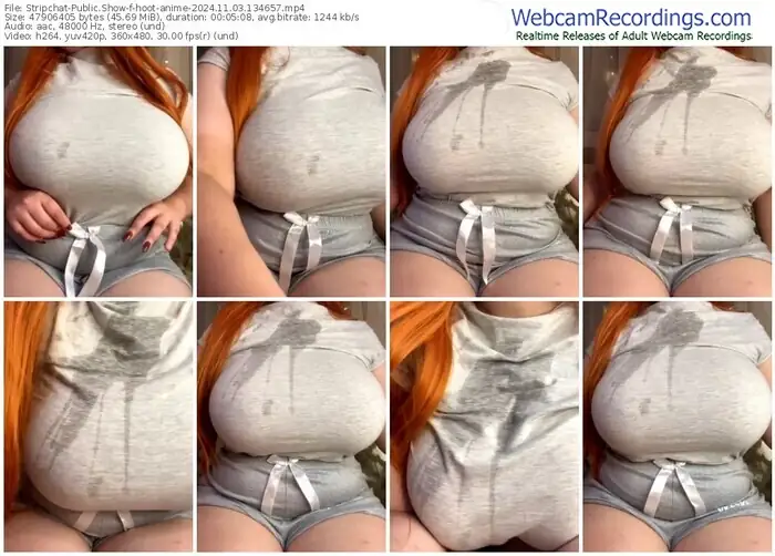 2024/11/03/stripchat-hoot-anime-13-46-57