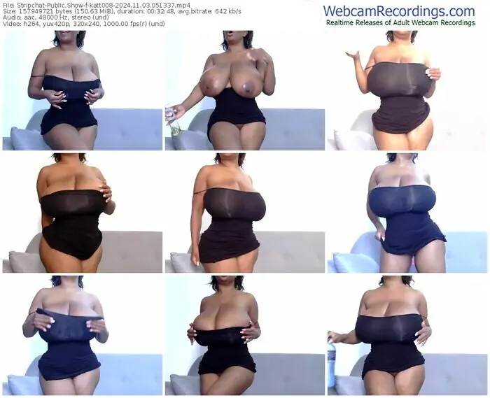 2024/11/03/stripchat-katt008-05-13-37