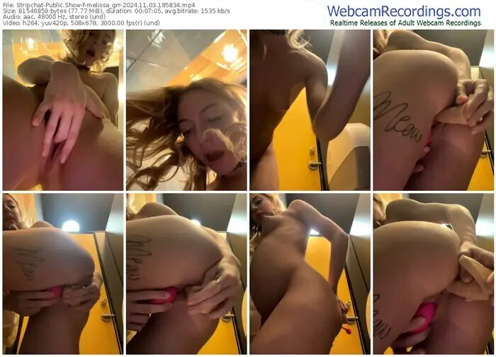 2024/11/03/stripchat-melissa_grr-18-58-34