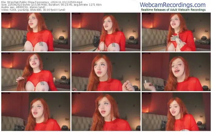 2024/11/03/stripchat-poisonivy_-11-05-03