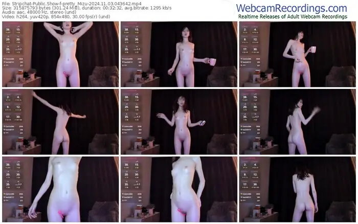 2024/11/03/stripchat-pretty_mizu-04-36-42