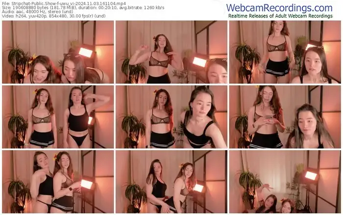 2024/11/03/stripchat-uwu_vi-16-11-04