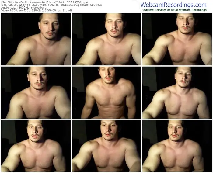 2024/11/03/stripchat-lionedwin-19-47-58