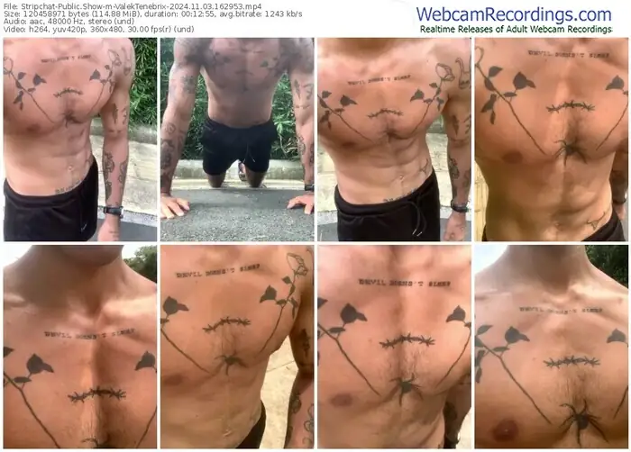 2024/11/03/stripchat-valektenebrix-16-29-53