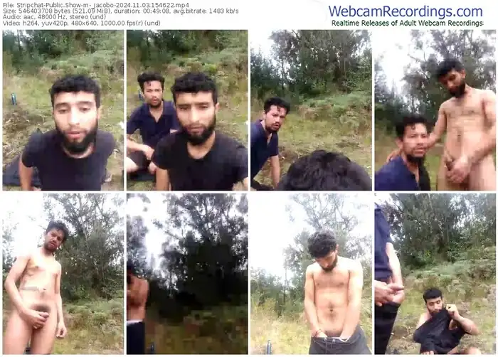 2024/11/03/stripchat-_jacobo-15-46-22