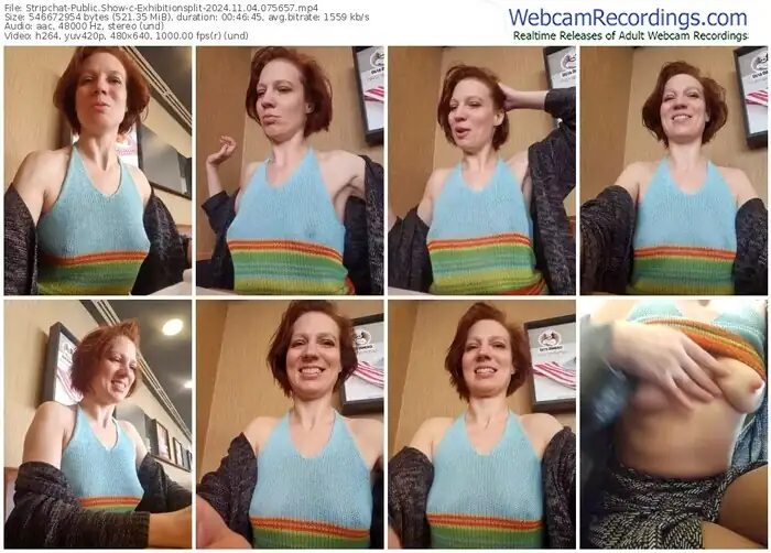 2024/11/04/stripchat-exhibitionsplit-07-56-57