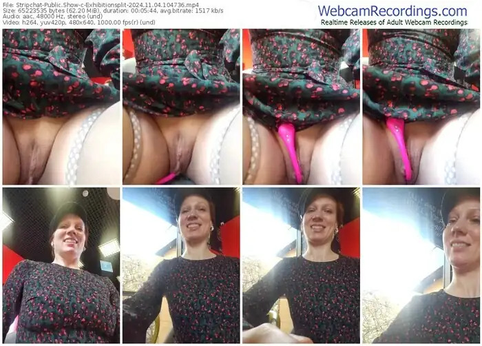 2024/11/04/stripchat-exhibitionsplit-10-47-36