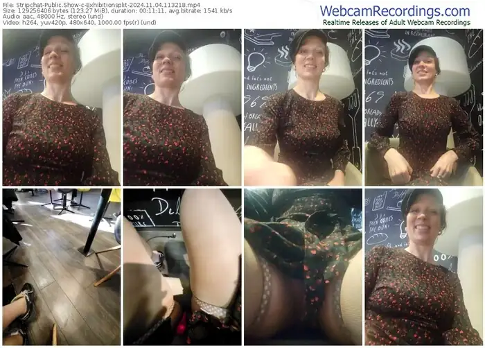 2024/11/04/stripchat-exhibitionsplit-11-32-18