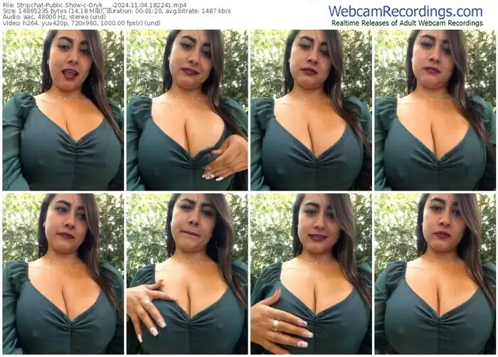 2024/11/04/stripchat-oryk___-18-22-41