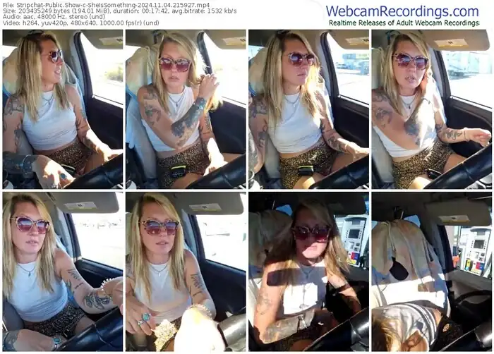 2024/11/04/stripchat-sheissomething-21-59-27