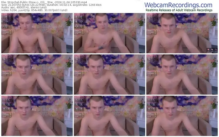 2024/11/04/stripchat-_olli__stiw_-10-53-30