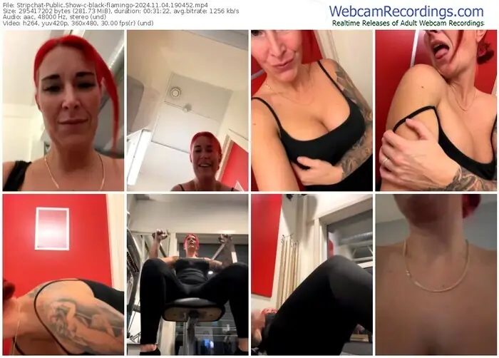 2024/11/04/stripchat-black-flamingo-19-04-52