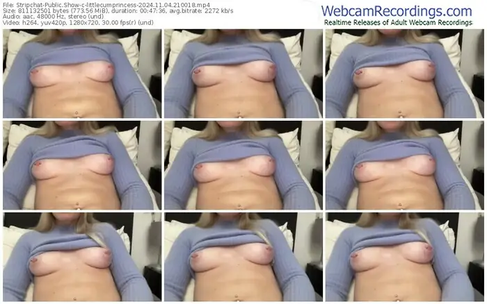2024/11/04/stripchat-littlecumprincess-21-00-18