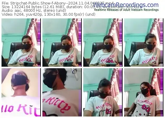 2024/11/04/stripchat-abony--04-32-37