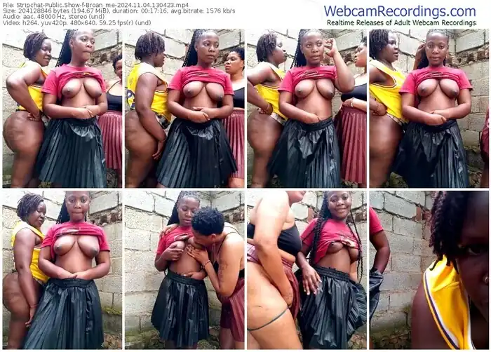 2024/11/04/stripchat-broan_me-13-04-23