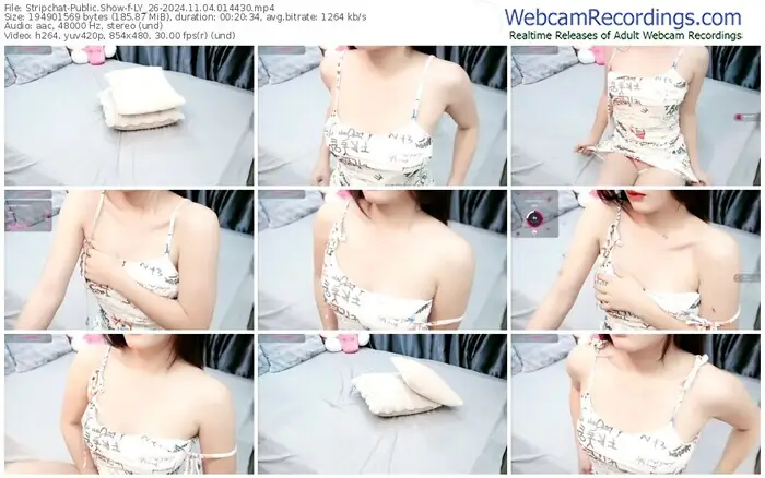 2024/11/04/stripchat-ly_26-01-44-30