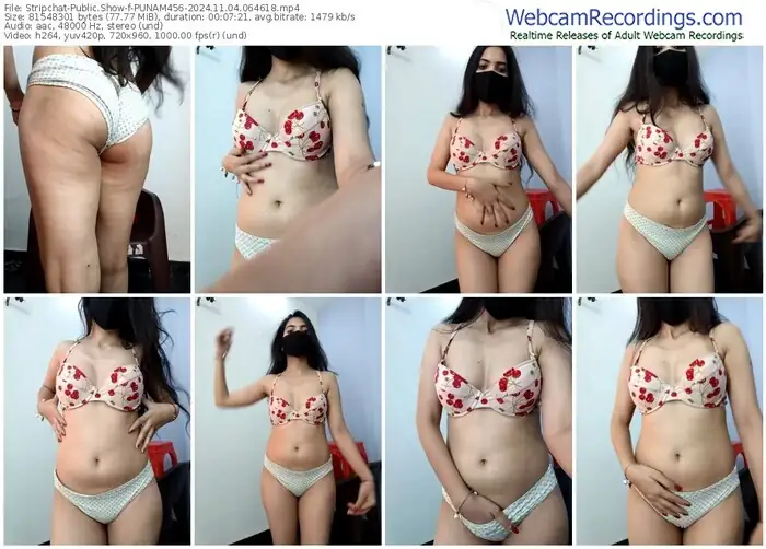 2024/11/04/stripchat-punam456-06-46-18
