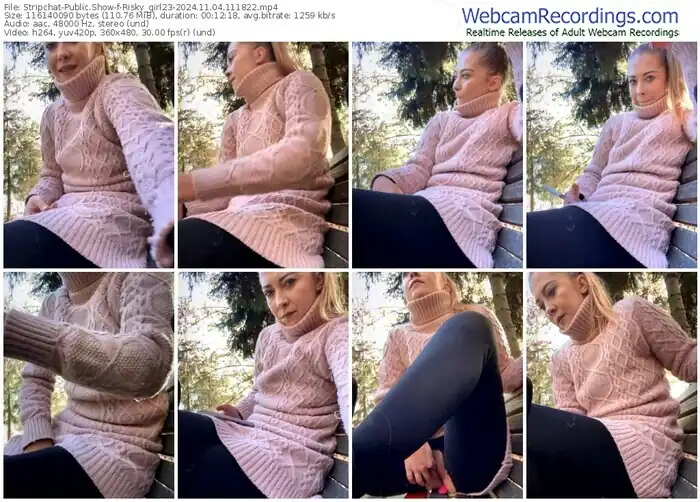 2024/11/04/stripchat-risky_girl23-11-18-22