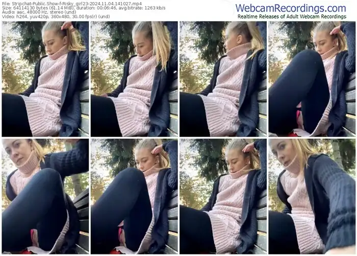 2024/11/04/stripchat-risky_girl23-14-10-27