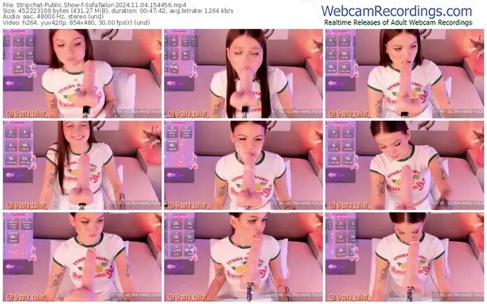 2024/11/04/stripchat-sofatailor-15-44-56