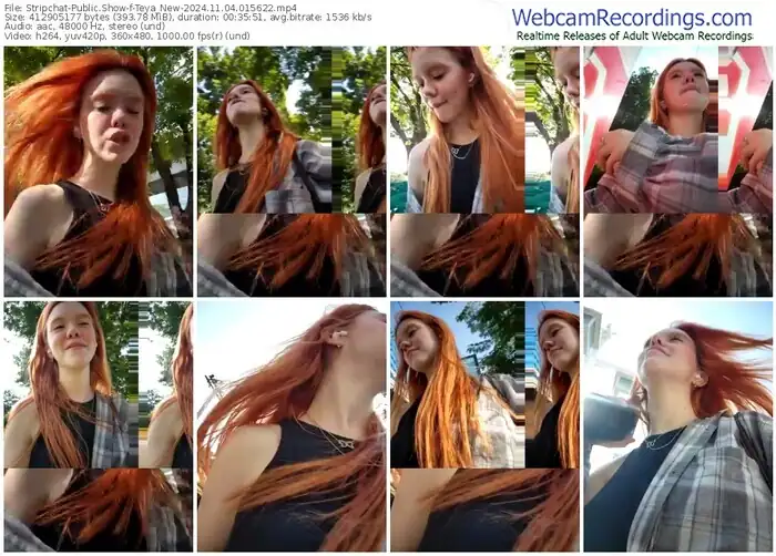 2024/11/04/stripchat-teya_new-01-56-22