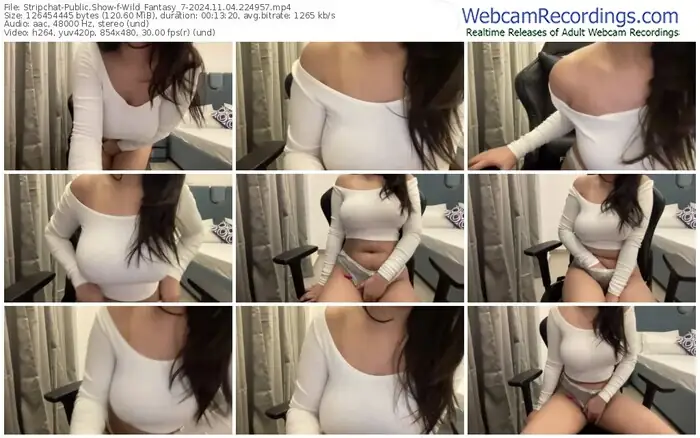 2024/11/04/stripchat-wild_fantasy_7-22-49-57