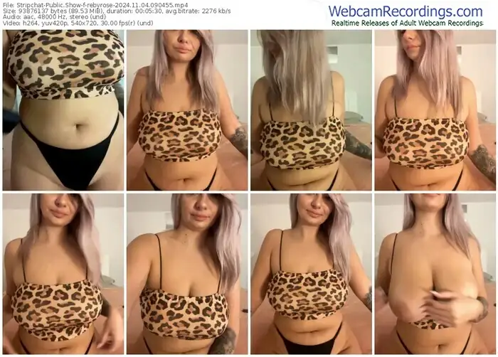 2024/11/04/stripchat-rebyrose-09-04-55