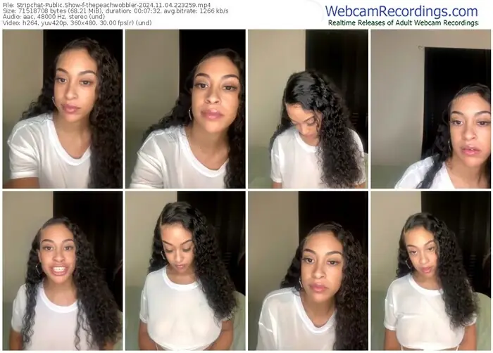 2024/11/04/stripchat-thepeachwobbler-22-32-59